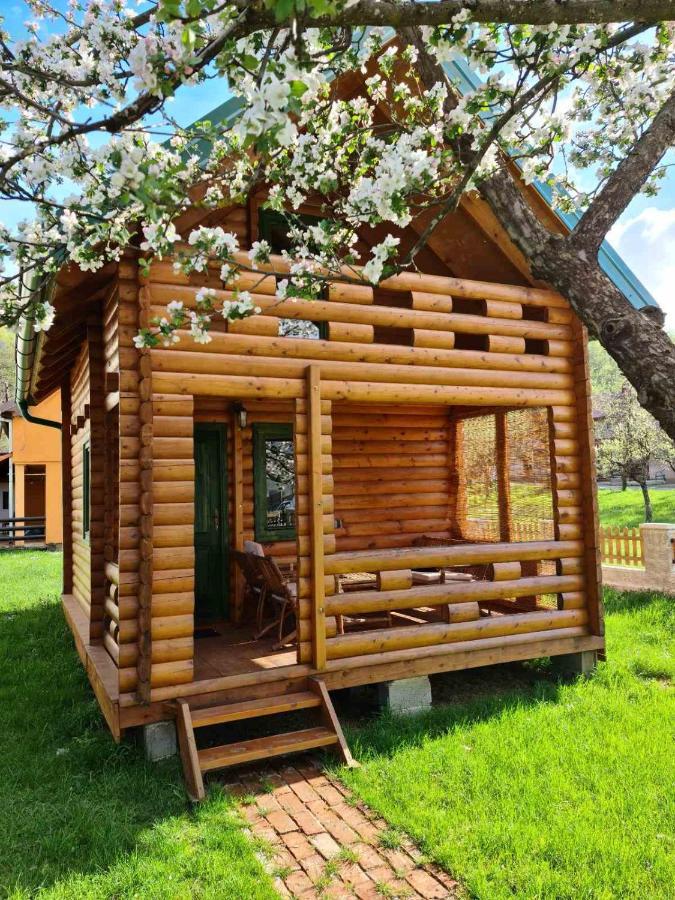 Guest House Green Garden Mojkovac Exterior foto